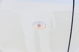 E福顺&nbsp;电动封闭厢货外观图片