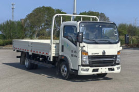 悍将M&nbsp;电动载货车外观图片