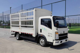 悍将M&nbsp;电动载货车外观图片