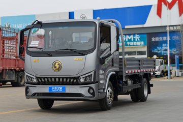 德龙G300&nbsp;载货车外观                                                图片