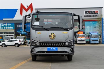 德龙G300&nbsp;载货车外观                                                图片