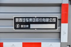 陕汽商用车 德龙G300 2.5L柴油 163马力 法士特6档 AMT自动档 6T后桥 3.82米排半栏板轻卡
