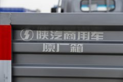 陕汽商用车 德龙G300 2.5L柴油 163马力 法士特6档 AMT自动档 6T后桥 3.82米排半栏板轻卡