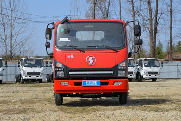 德龙G1&nbsp;载货车外观                                                图片