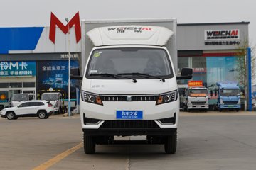 蓝擎·凌R&nbsp;载货车外观                                                图片