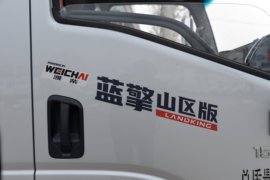 蓝擎·龙N&nbsp;载货车外观                                                图片