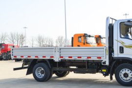 德龙G200&nbsp;载货车上装                                                图片