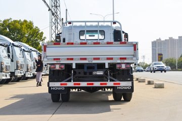 统帅PRO&nbsp;载货车外观                                                图片