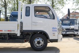 智蓝EM&nbsp;电动载货车外观图片