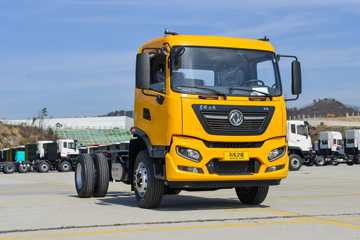 东风商用车 天锦KR 精英版 230马力 4X2 5.8米栏板载货车(平顶)