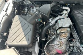 全新域虎&nbsp;皮卡外观                                                图片