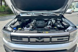 全新域虎&nbsp;皮卡外观                                                图片