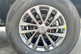 全新域虎&nbsp;皮卡底盘                                                图片