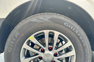 ����ȫ���� 2.5T���� 167���� �����ֶ� ƽ�׻��䳤��˫��Ƥ��ͼƬ