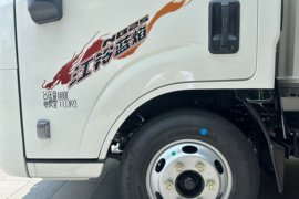 全新顺达 载货车外观                                                图片