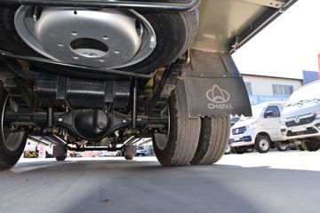 ������Խ��X7 ������ 1.6L 105���� CNG 3.685�׵�����ʽС��ͼƬ