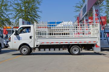 跨越者D5EV&nbsp;电动载货车外观图片