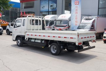 祥菱M2 Plus&nbsp;载货车外观                                                图片