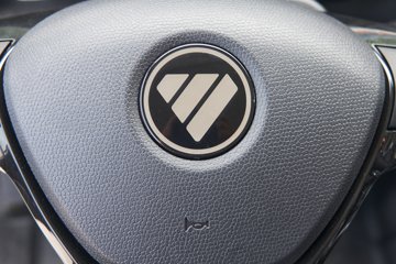 M2 Plus 2L CNG 127 5 3.8Ű΢ͼƬ