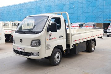 祥菱M2 Pro 载货车外观                                                图片