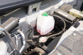 新豹T3 PLUS&nbsp;载货车外观                                                图片