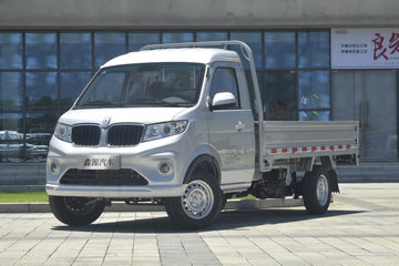 金杯 新海豚EV 舒适型 3.05米单排纯电动栏板微卡 弗迪42.3kWh