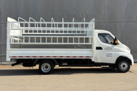 飞碟U9&nbsp;电动载货车外观图片