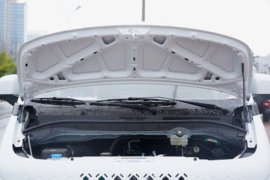 睿立达V6E&nbsp;VAN/轻客外观图片