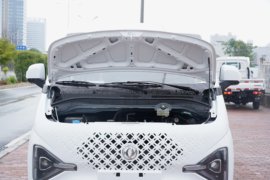 睿立达V6E&nbsp;VAN/轻客外观图片