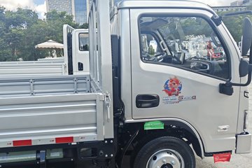 Ծ  S100 2L 122 CNG 4.2׵СͼƬ