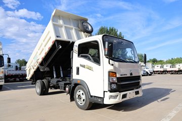 йHOWO M 140 4X2 ʽ()ͼƬ