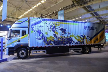 C331&nbsp;电动载货车外观图片