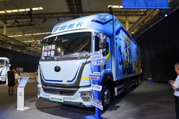 C331&nbsp;电动载货车外观图片