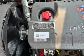 瑞沃5&nbsp;载货车底盘                                                图片