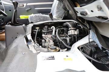 �����𱭺�ʨ 2025�� ���� 2L���� 136���� 2���߶���ջ���ͼƬ