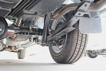 �����𱭺�ʨ 2025�� ���� 2L���� 136���� 2���߶���ջ���ͼƬ
