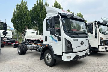 星蓝Max 电动载货车外观图片