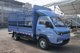 蓝擎·悦X2&nbsp;电动载货车外观图片