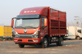 瑞沃TS5&nbsp;载货车外观                                                图片