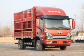 瑞沃TS5&nbsp;载货车外观                                                图片