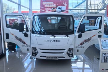 全新顺达&nbsp;载货车外观                                                图片