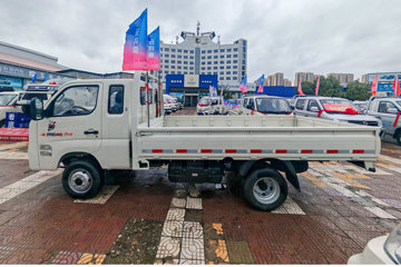 祥菱M2 Pro&nbsp;载货车外观                                                图片