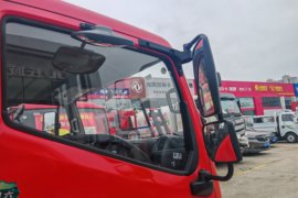 福瑞卡F6&nbsp;载货车外观                                                图片