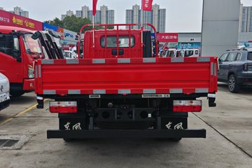 福瑞卡F6&nbsp;载货车外观                                                图片