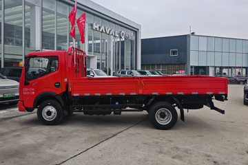 福瑞卡F6&nbsp;载货车外观                                                图片