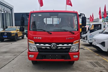 福瑞卡F6&nbsp;载货车外观                                                图片