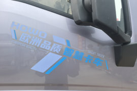 G5X&nbsp;载货车外观                                                图片