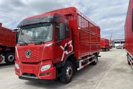 东风畅行X3&nbsp;载货车外观                                                图片