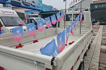 ���� ����M1 ������ 1.6L 105���� CNG 3.3�׵�������΢��ͼƬ