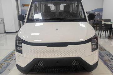 黄金仓&nbsp;电动封闭厢货外观图片